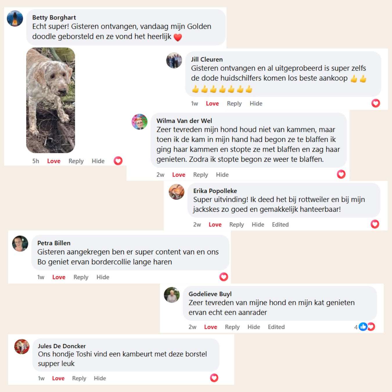 SteamHeaven 2.0 – Professionele Vachtverzorgingsborstel