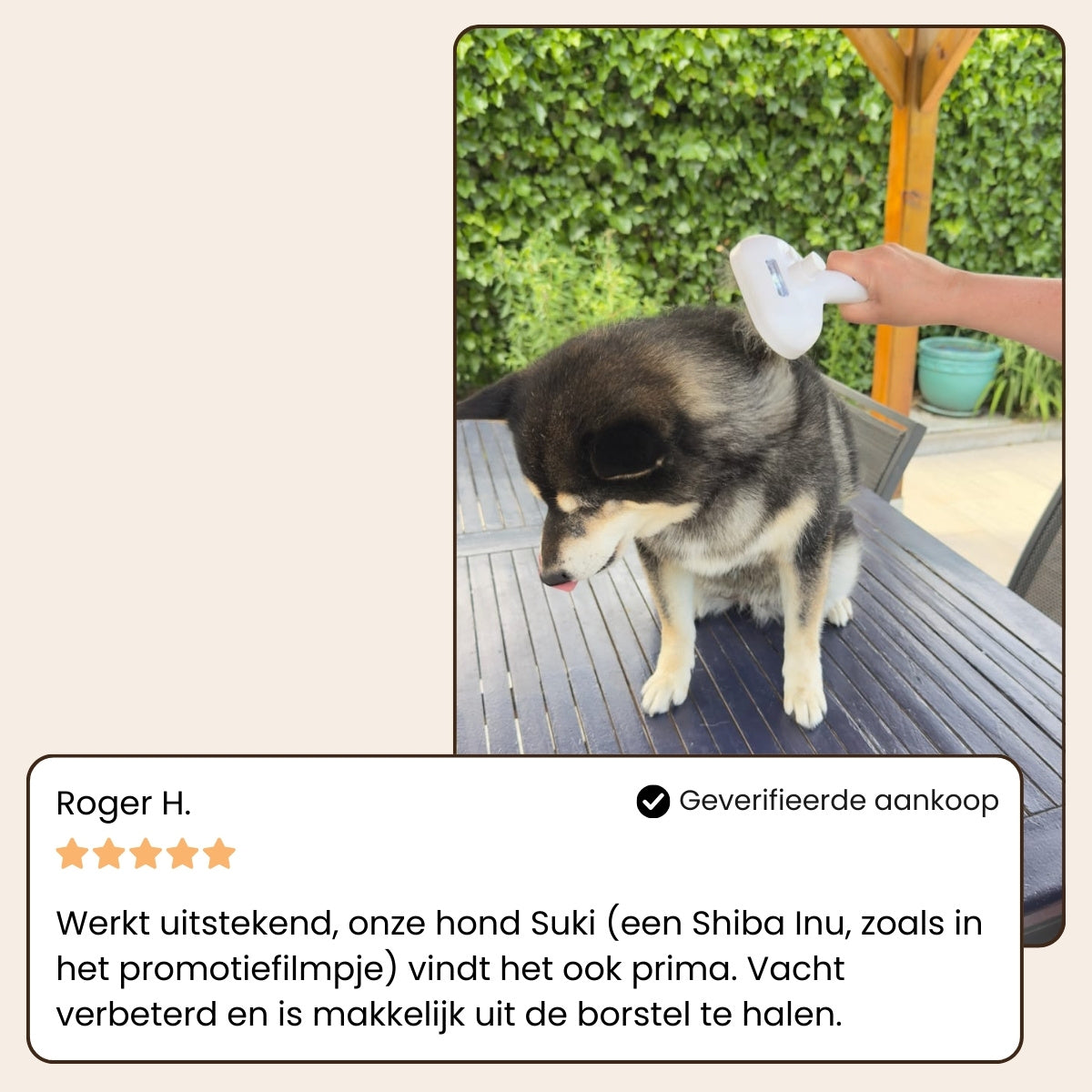 SteamHeaven 2.0 – Professionele Vachtverzorgingsborstel