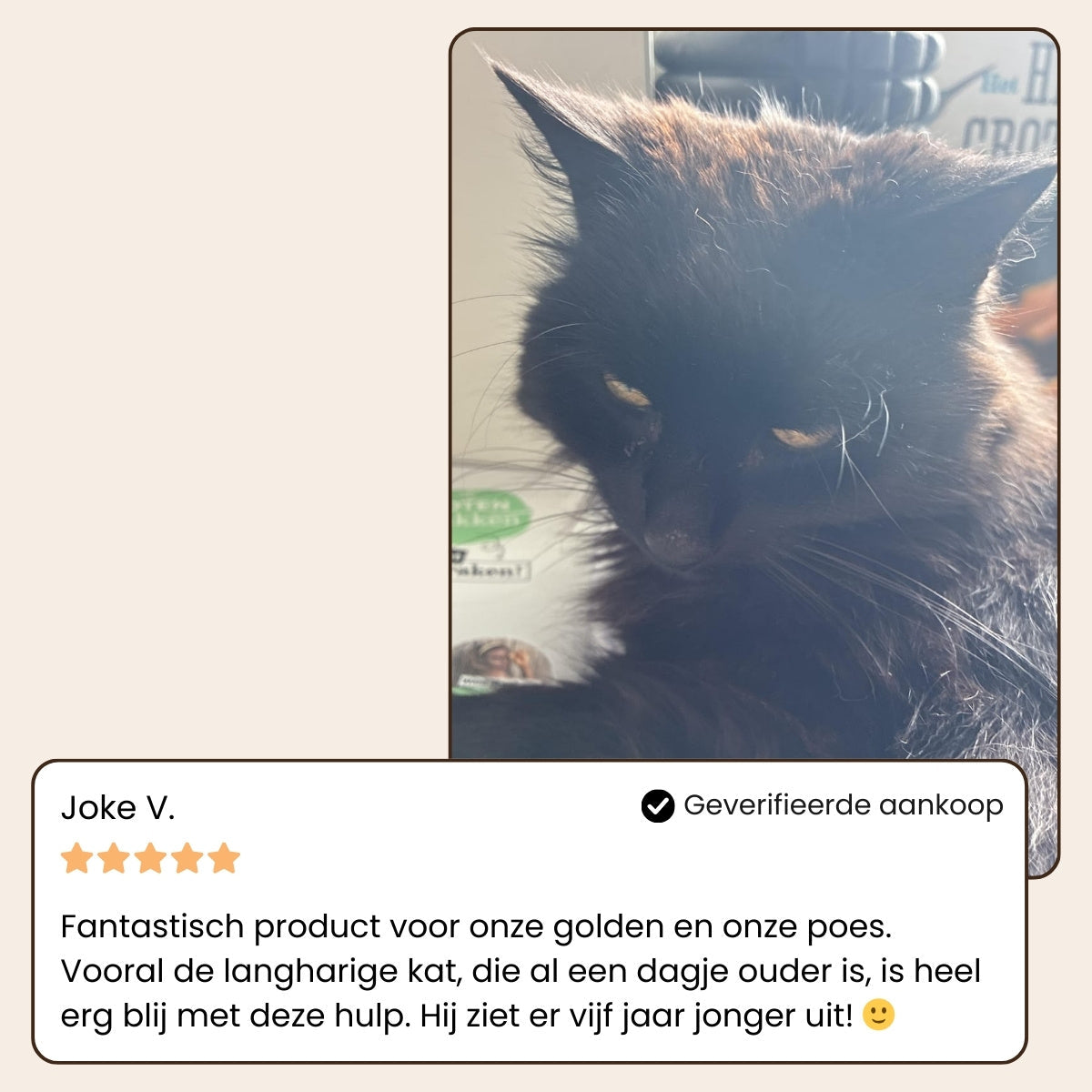 SteamHeaven 2.0 – Professionele Vachtverzorgingsborstel