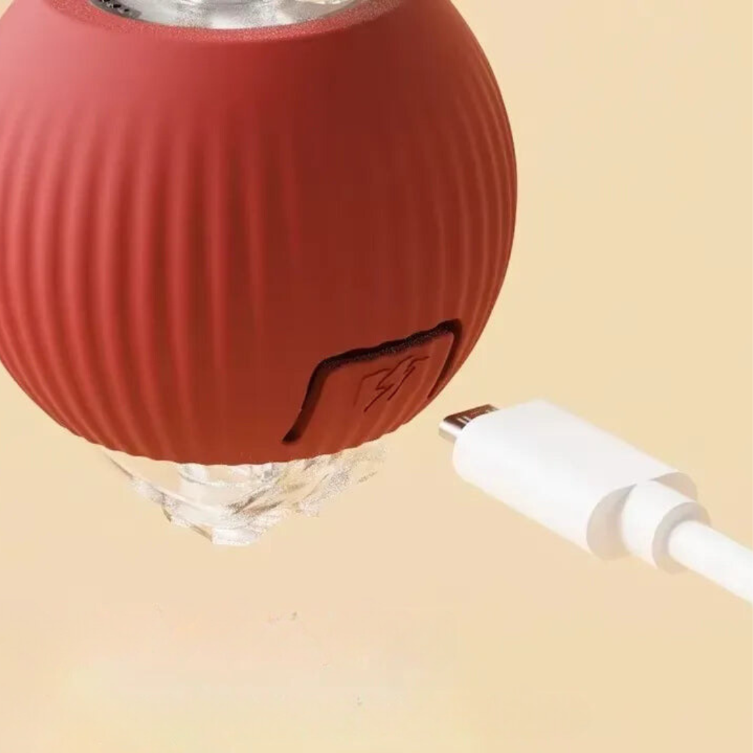 PlayTail Bal – Interactieve Speelbal Voor Actieve en Blije Honden