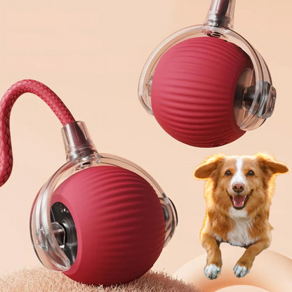 PlayTail Bal – Interactieve Speelbal Voor Actieve en Blije Honden